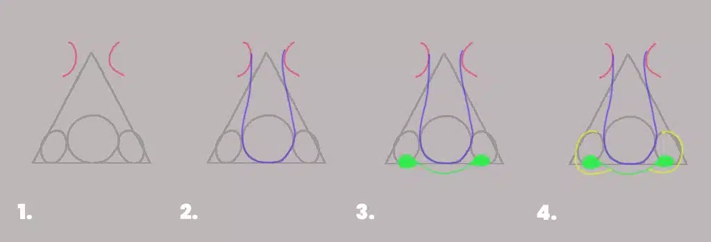 Step By Step Sketching A Nose - The Art of Lester West Figure 3: Steps in sketching a nose, using the shapes in figure 2. Step 1, make to half circles on each side of the top of the triangle; 2. Sketch a “U” shape, starting from the top going under neath and around the circle to reach the top of the other side; 3. Sketch nostrils opening of the nose, coming down the circle a bit; and 4. making the nostrils themselves.