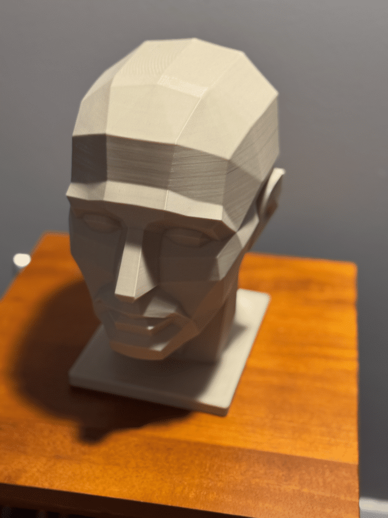 Planes of the human head.