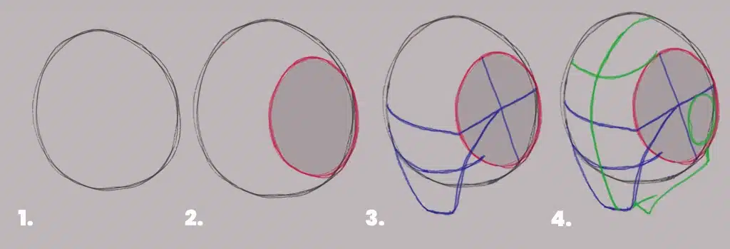 A step-by-step illustration of showing 4 Stages of the building the Loomis Head with simple shapes.