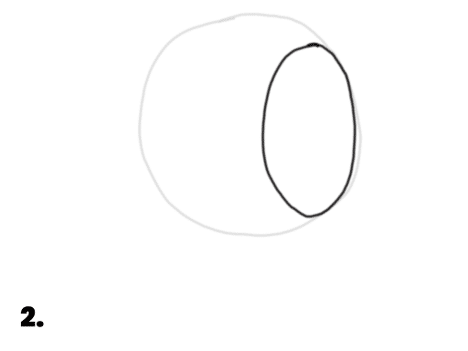 Showing the same circle dimmed with a side plane cut out of it, which will be the side of a head.