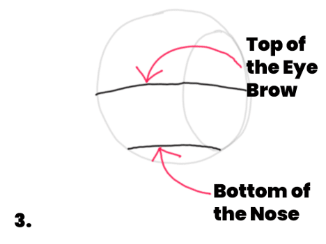 A picture of a circle and to lines showing where the brow line and nose line will be in the Loomis Method.
