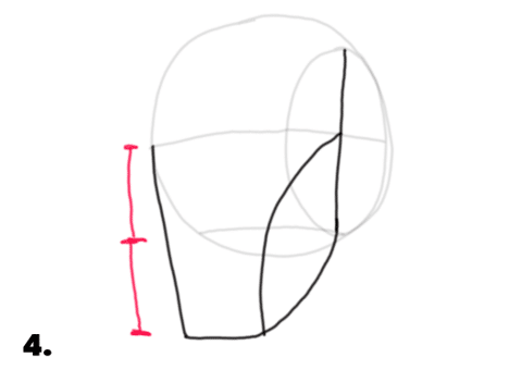 A picture showing the distance of the eyebrow and the bottom of the chin, creating the Rule of Thirds in constructing the head with the Loomis Method.