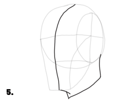 Showing the center line and neck line on a Loomis Method head.