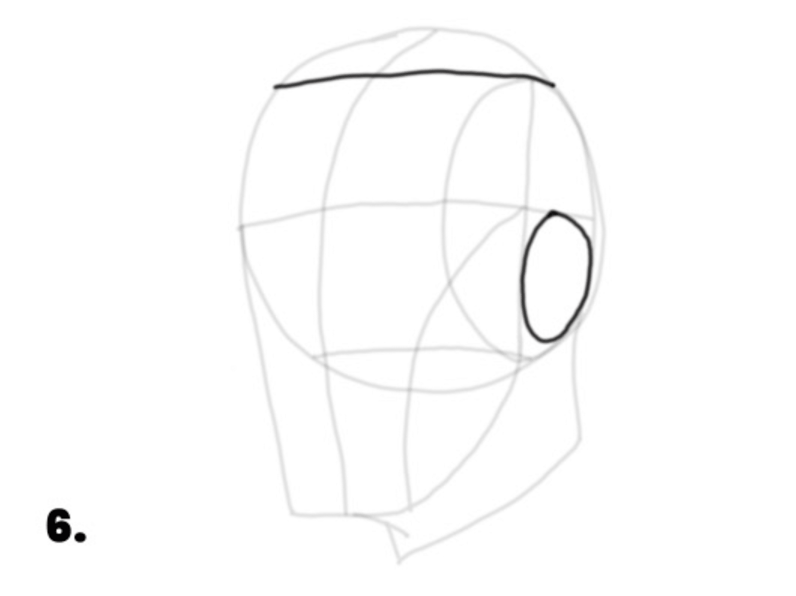 Showing the hair line and ear position on a Loomis Method head.
