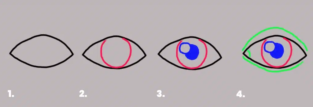 A diagram of the four steps in developing a human eye.