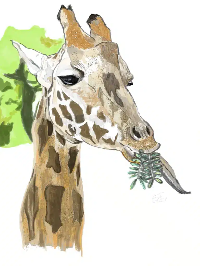 Digitally watercolor-style illustration of a giraffe's head and long neck with green foliage in the background.
