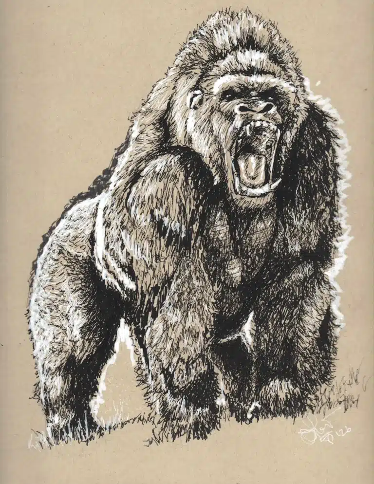 Roaring gorilla illustration with open mouth.