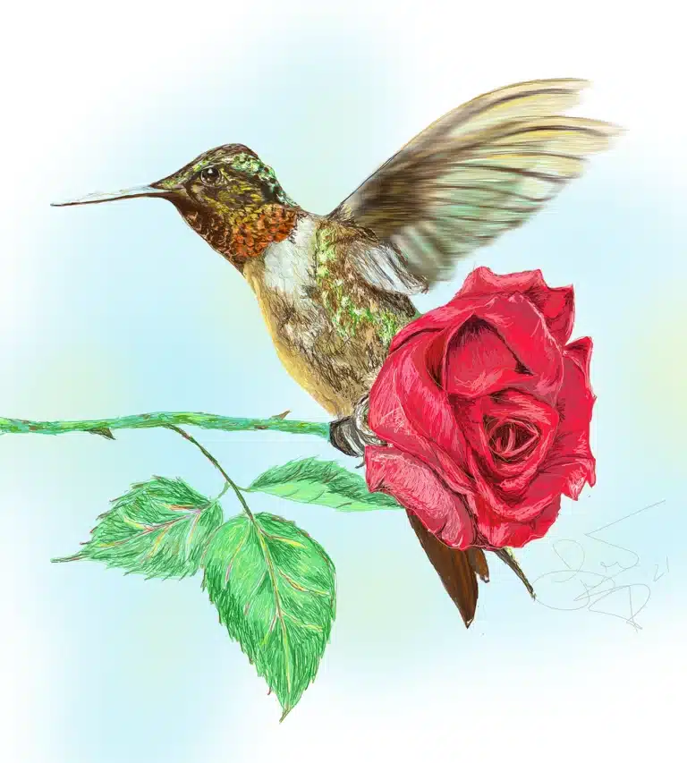 A stylized character design of a hummingbird carrying a rose to his love.