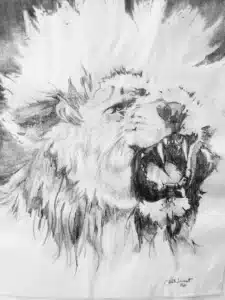 Monochrome pencil (traditional) drawing showing a large lion's head with the sun beaming in the background.