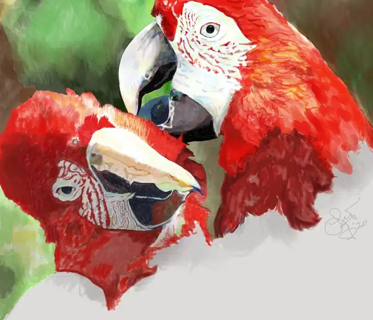 Two scarlet macaws with white faces and large curved beaks, shown in a close-up, painterly portrait digitally.