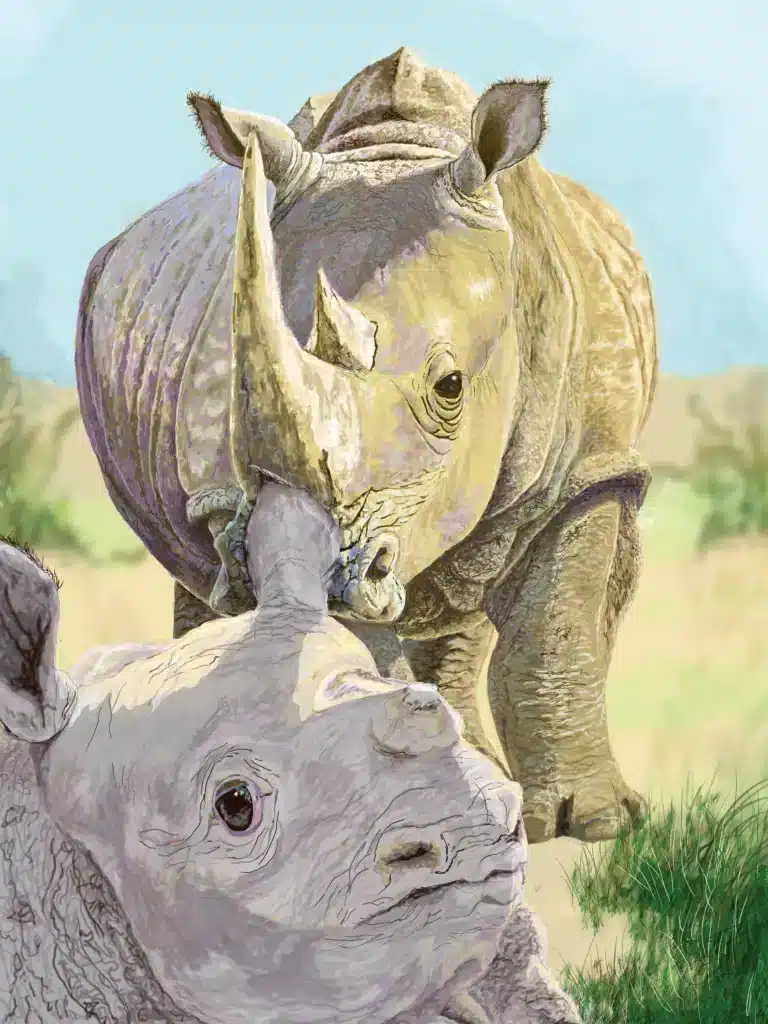 Close-up of two rhinoceroses in a grassy plain, the larger rhino in the foreground with a smaller calf in front against a blue sky.