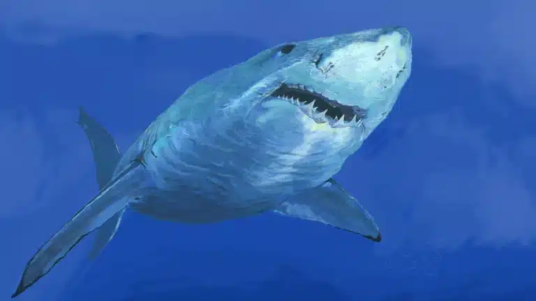 Shark swimming through a vivid blue ocean with its mouth slightly open.