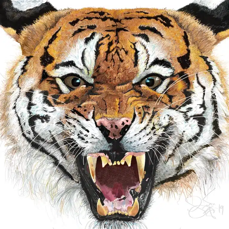 Close-up painting of a snarling tiger with teeth bared and mouth wide open.